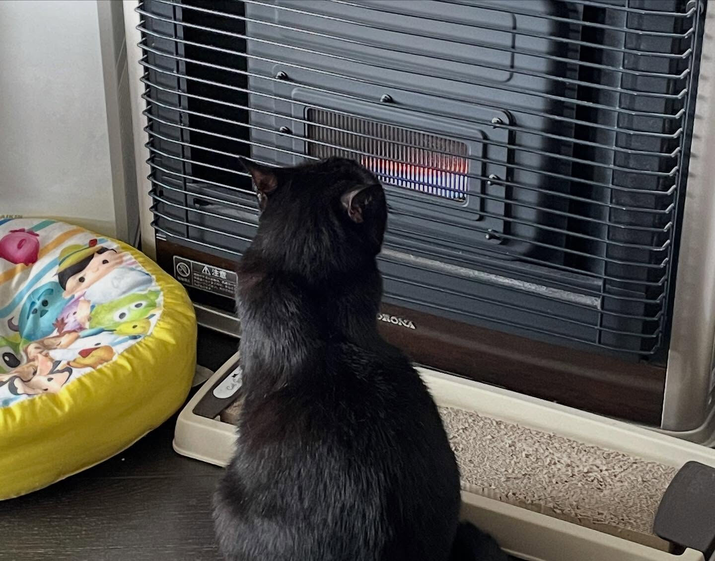 こんにちは😃